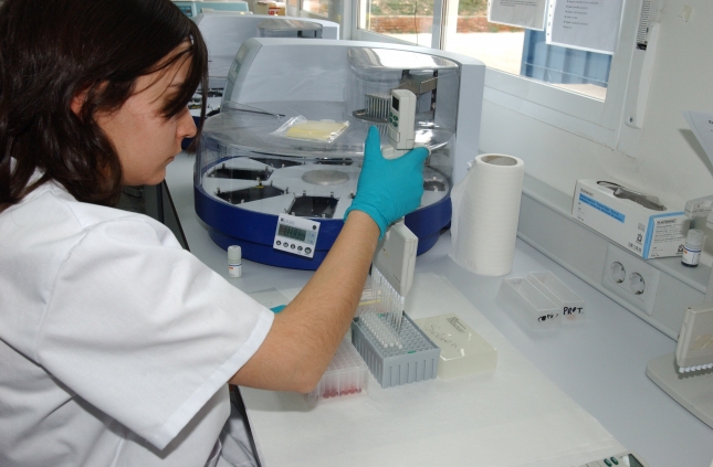 Trabajo de la Universidad de Murcia en diagnstico y control de micoplasmosis en rumiantes