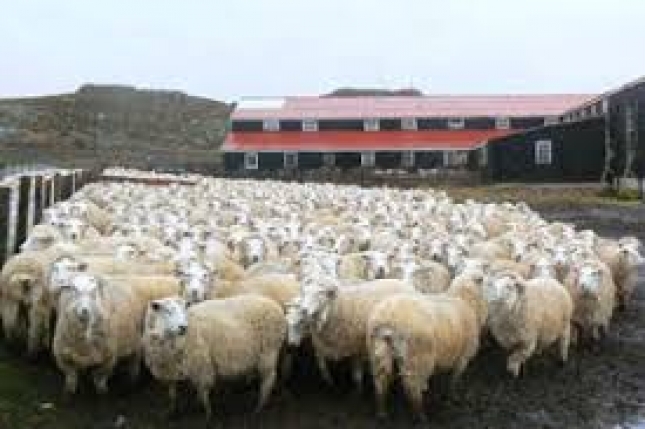 Castilla-La Mancha duplicar� la distancia de granjas ganaderas a n�cleos urbanos