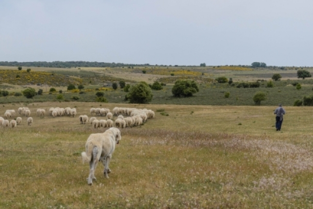 El paro en el campo sube un 3,8 % en el primer trimestre, hasta los 206.500