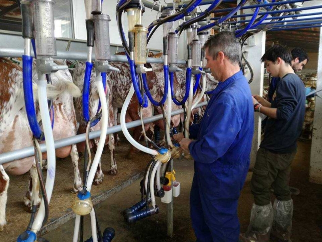 El BOE publica el real decreto sobre el etiquetado obligatorio del origen de la leche