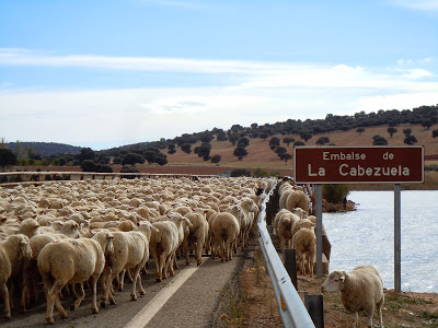 embalse