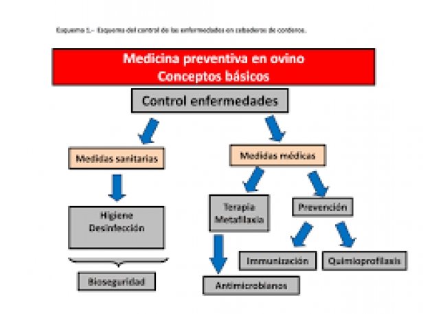 Conferencia sobre antimicrobianos de uso animal en el Colegio de Veterinarios de Madrid