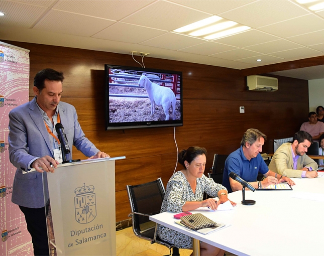 La subasta de ovino de Salamanca finaliza con 5.680 euros y una baja adjudicacin en Assaf