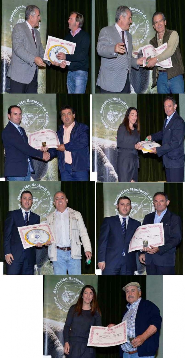 LA RAZA MERINA OBTIENE UNA ADJUDICACI�N PLENA EN LA SUBASTA DE LA XXII FERIA AGROGANADERA DEL VALLE DE LOS PEDROCHES