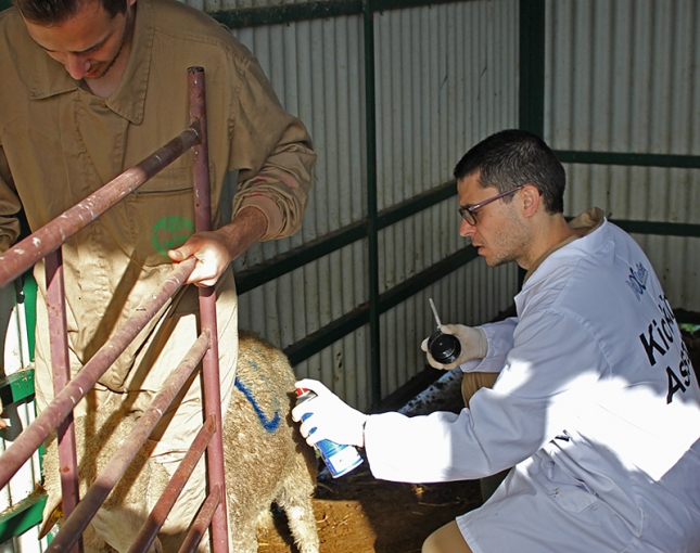 El M�ster de Producci�n y Sanidad Animal en Madrid arranca su curso 2018-19