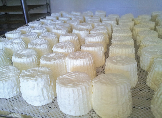 El queso puro de cabra representa slo el 3,6% de los quesos consumidos en hogares espaoles