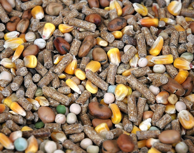 Suben los precios de los cereales salvo el trigo blando en mercados mayoristas