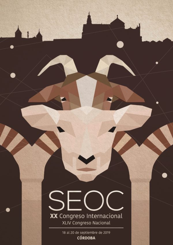 Cartel-A3-SEOC2019-1-e1547025974128