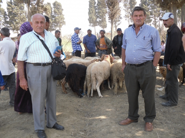 Ganaderos de la Raza Ovina Loje�a participan en la Fiesta del Cordero en Tetu�n y Ceuta