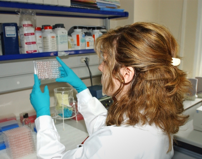Almera acoge una jornada sobre los veterinarios clnicos y la resistencia a los antimicrobianos