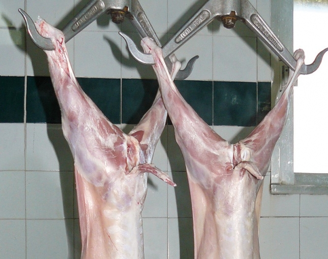 La produccin de carne de caprino desciende un 5,1% en los cinco primeros meses del ao