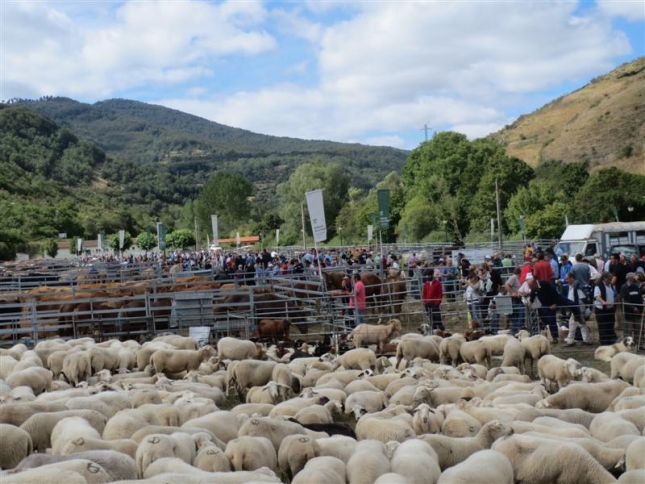 La Feria Ganadera de Villoslada (La Rioja) re�ne 2.285 animales