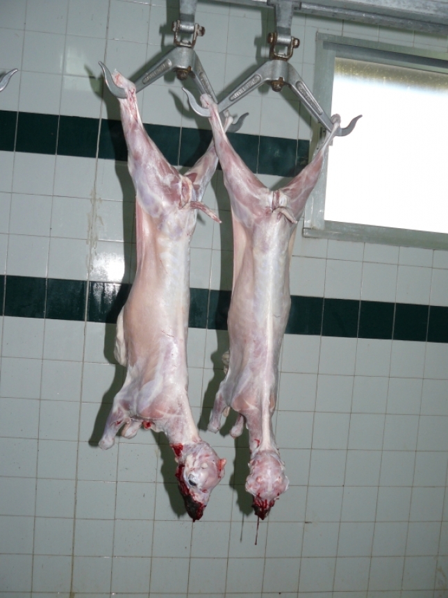 El auge de Murcia aumenta la produccin mensual de carne ovina pero no evita una cada anual del 2,5%