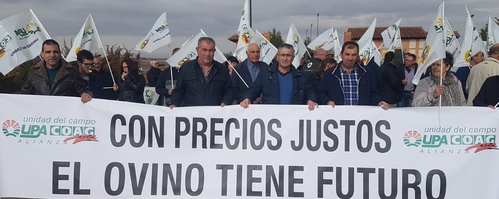 Protestas ovino Zamora nov 18