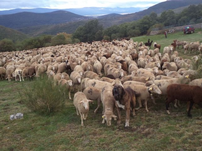 La unin de agricultores y ganaderos de Aragn piden que se presione a los bancos para la concesin de prstamos afectados por la sequia