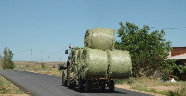 El mercado interior de forrajes empieza a recuperarse por el cambio de expectativas en la ganader�a de leche