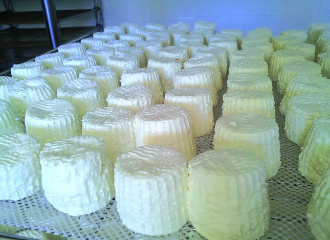 Espaa encabeza el ranking de la Unin Europea en excedentes de leche de cabra