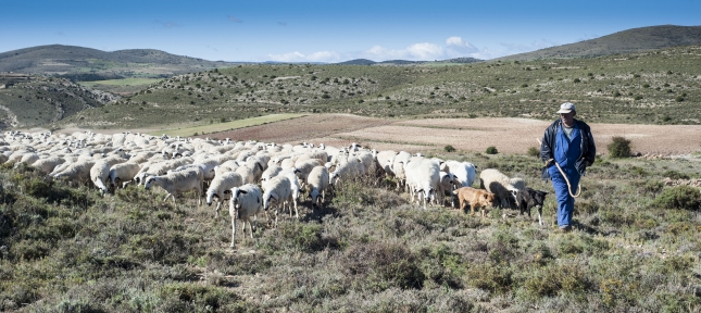 VI PREMIO A LA BIODIVERSIDAD a la ganader�a de Ovino y Caprino en Arag�n 2014