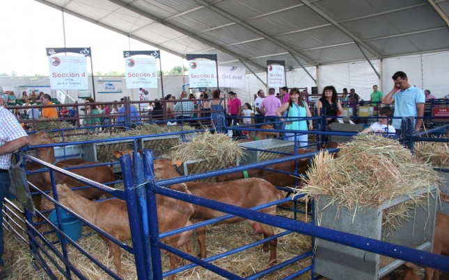 Resultados del XXV Concurso Morfolgico Nacional de Ganado Caprino de Raza Malaguea