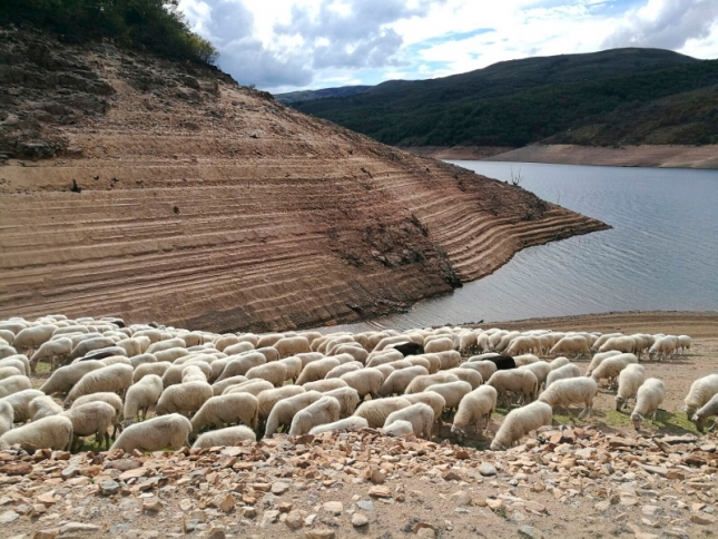 La Confederaci�n Hidrogr�fica del Guadiana ha evaluado el informe presentado por la Oficina T�cnica de Sequ�a y se ha planteado la conveniencia de adoptar medidas que garanticen de forma exclusiva el abastecimiento humano.