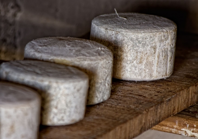Un nuevo proceso tecnolgico podra revolucionar los sistemas de produccin de queso en el mundo