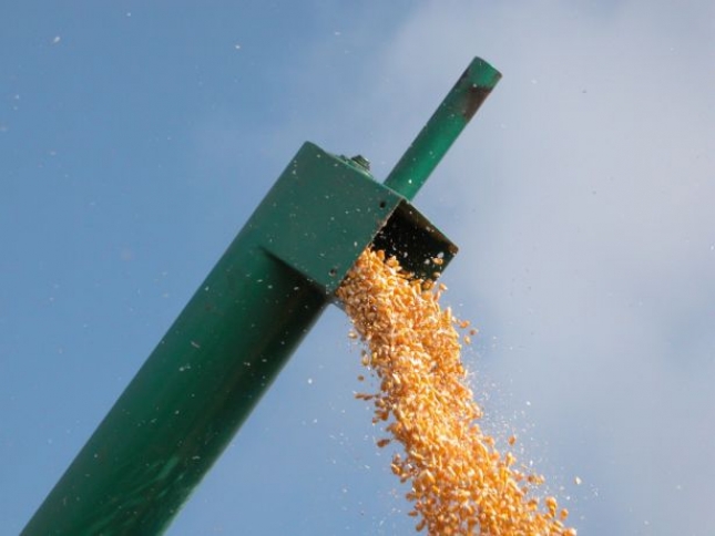 Bajan los precios del trigo y suben los del maz en los mercados mayoristas
