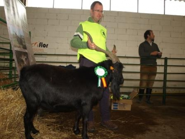 ACRIVER: �Los premios obtenidos en la Feria de Trujillo nos hacen ver que vamos en la buena direcci�n de trabajo�