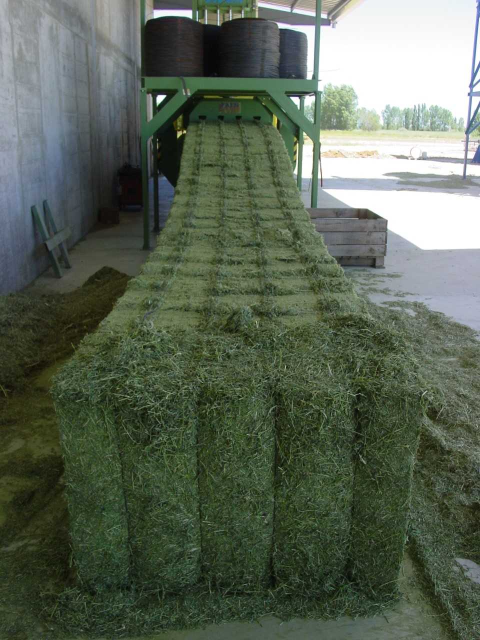 alfalfa desidratada agropal