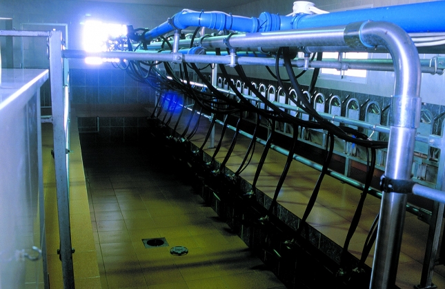 Cambio de ciclo en el mercado de la leche de oveja con una ca�da de la producci�n en abril