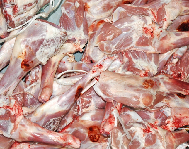 Argentina podr exportar carne caprina y ovina de ms calidad a China