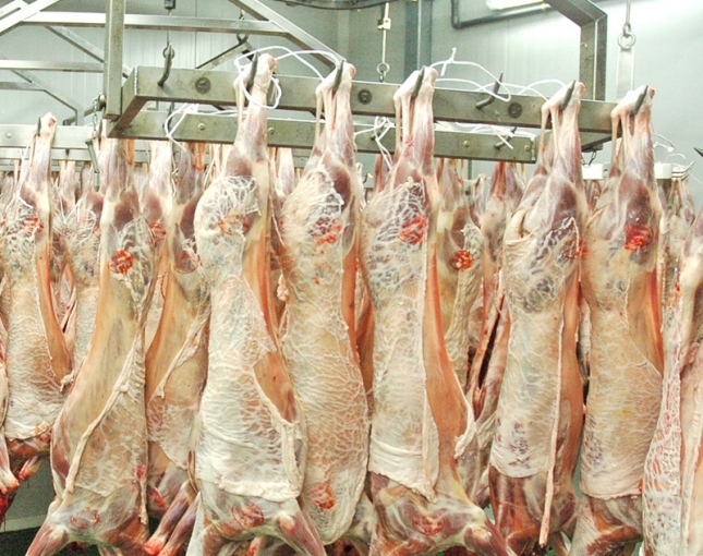 La crisis del ovino de carne se agudiza en marzo y la produccin cae un 16,2% en el primer trimestre