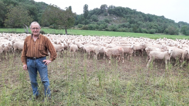 Segn Asaja Castilla-LaMancha el nmero de ganaderos de leche de ovino desciende 8,1% en un ao,