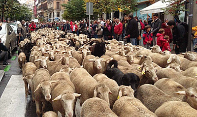 interovic 24-10-16 foto1