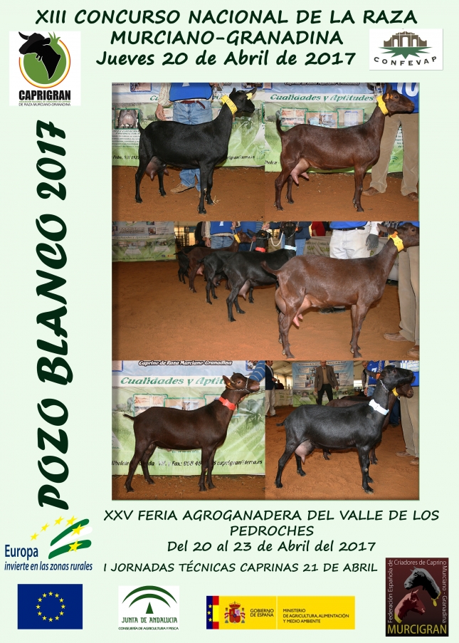 XIII CONCURSO MORFOLGICO NACIONAL DE LA RAZA MURCIANO-GRANADINA - POZOBLANCO 2017-