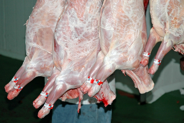La produccin de carne de ovino baja un 3 % interanual en Espaa en octubre