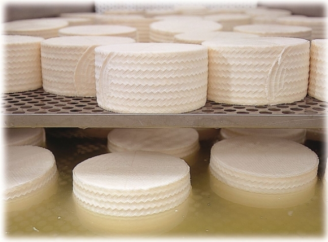 Las industrias lcteas espaolas aumentan su exportacin de queso en un 12,9% en el ltimo ao