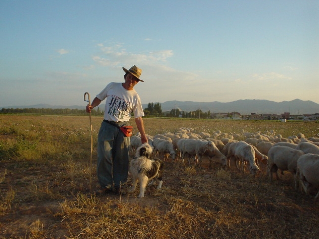UPA presenta 11 medidas para la seguridad de los agricultores y ganaderos