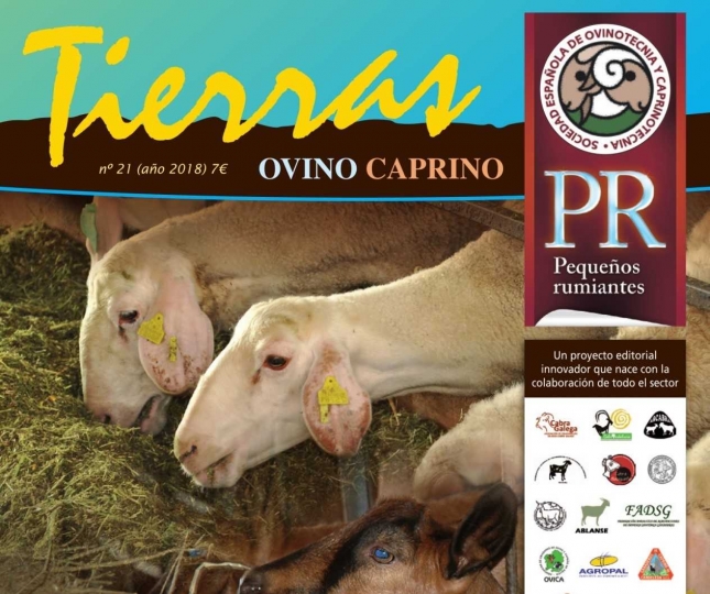Hay que mejorar mucho la alimentacin en las granjas de ovino y de caprino en Espaa