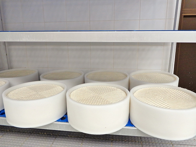 Integrantes y objetivos del proyecto Caova Mix Cheese para cuantificar la leche de los quesos de mezcla