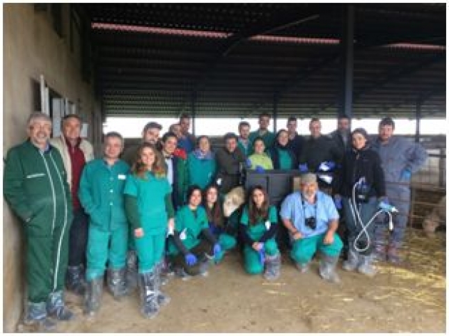 El Colegio de Veterinarios de Cceres, en colaboracin con MSD Animal Health, organiza un curso prctico de reproduccin en ovino