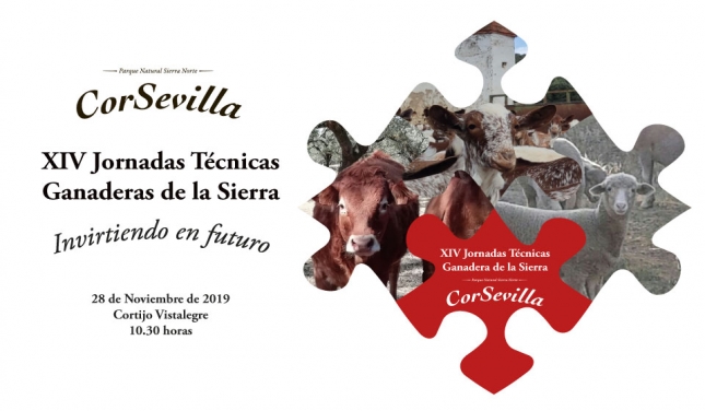 Expertos en recra de ovino, caprino y vacuno se darn cita en la XIV Jornada Tcnica Ganadera de la Sierra organizada por CorSevilla