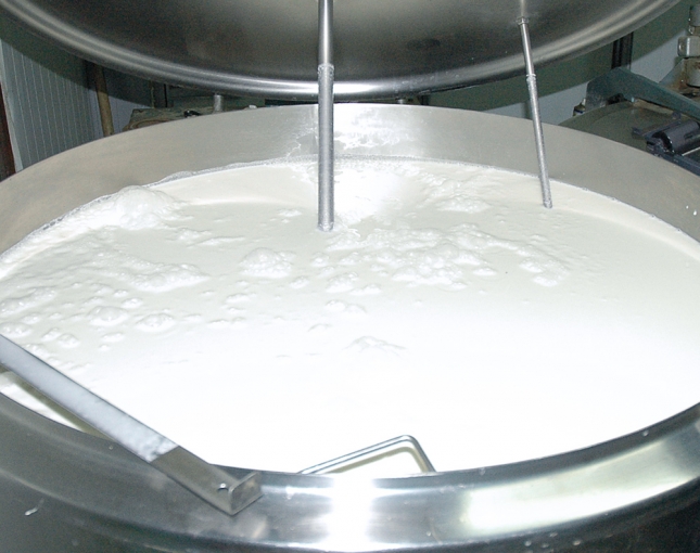 Las industrias concentran sus compras de leche de oveja ante la menor produccin de otoo