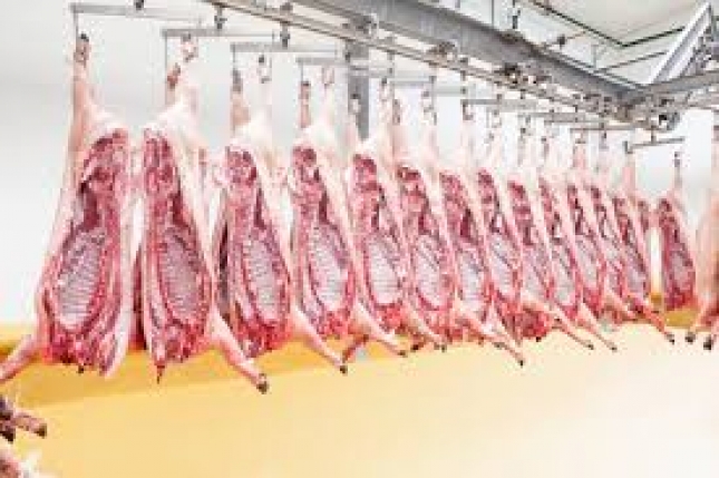 La produccin de carne de ovino vuelve a caer en mayo y ya pierde un 8,2% en el presente ao