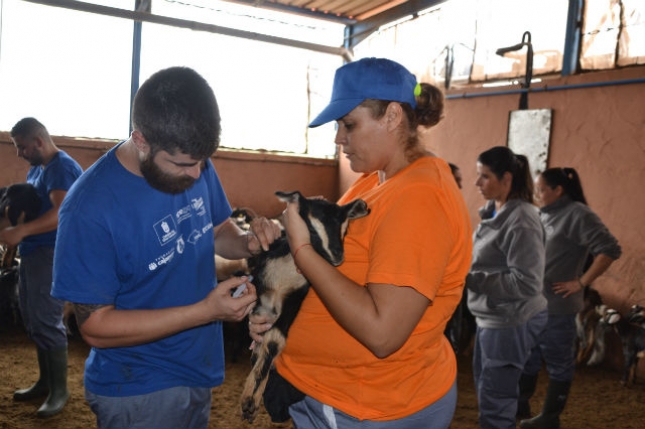 1.440 jvenes agricultores y ganaderos, el 33 % mujeres, se incorporarn al campo en Castilla-La Mancha