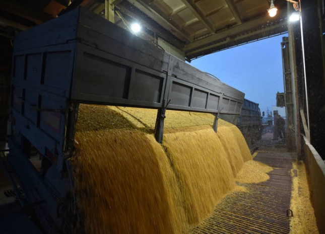 Segn el USDA sube la cosecha mundial de maz un 3 % y cae la de trigo un 4%