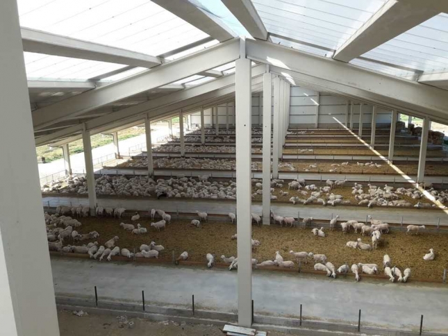 Los ganaderos catalanes acusan de desconocimiento a los grupos animalistas que les acosan