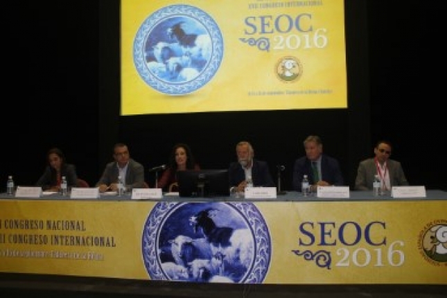SEOC alerta que el Brexit dejar� al ovino espa�ol como l�der de la UE, lo que deber�a acabar con el maltrato de la PAC
