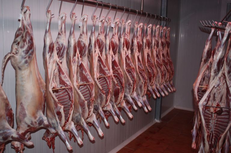 EN PORTADA-Carne de lechazos