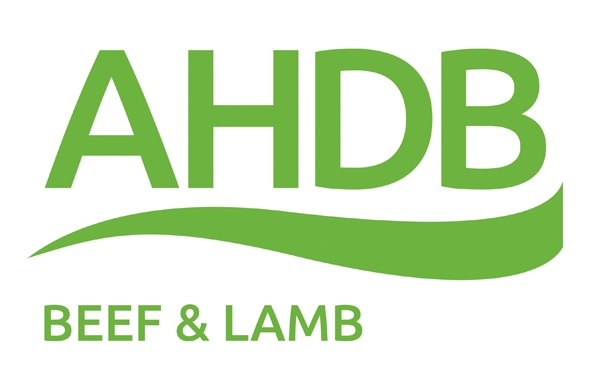 logo AHDB LAMB