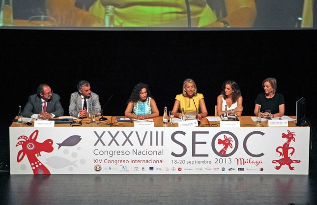 SEOC 2013. Resumen de todas las actividades desarrolladas en el 38 Congreso